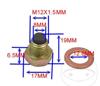 Magnetic Oil Drain Plug M12X1,50