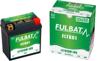 FULBAT FLTK01 litium-akku (LiFePO4)