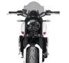 MRA Vindruta Sport rökfärgad Trident 660