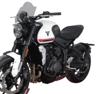 MRA Vindruta Sport rökfärgad Trident 660