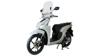 MRA katelasi Touring kirkas VISION 110