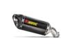 Akrapovic Slip On hiilikuituvaimennin (A2) E-hyväksytty
