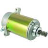 WAI startti Denso PMDD